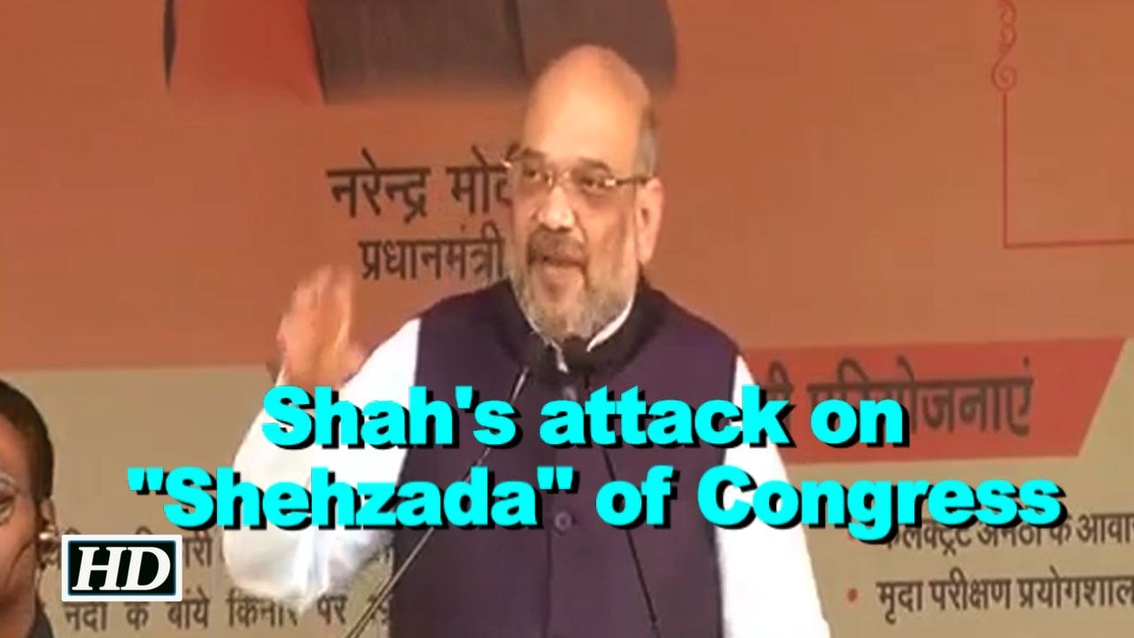 BJP top guns attack Rahul in Amethi