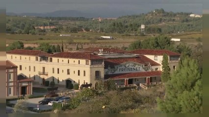 Catalogna: la preoccupazione delle aziende private