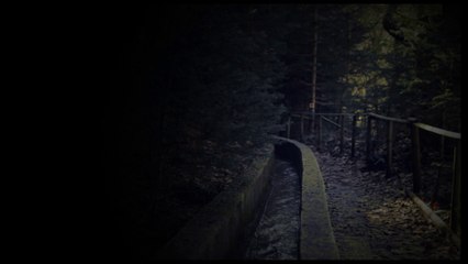 ALEXIS KARPOUZOS COMMUNITY: THE PATH OF WISDOM