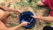 Primitive Deep Hole Crabs Trap - How to A Make Deep Hole Trap for Catching Crabs (That Works)