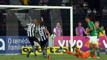 Botafogo 2 x 1 Chapecoense - Melhores Momentos - Brasileirão 11/10/2017 HD