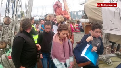 Paimpol. Nébuleuse : les collégiens  croquent les coques