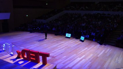 Les lois de la physiques _ Abda N'Dyaie _ TEDxLille