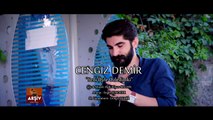 Cengiz Demir - Seni Öyle Özledim Ki