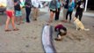 Découverte d'une créature marine de plus de 8m de long en Californie.