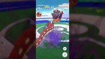 Pokémon GO Gym Battles Level 5 Gym Feraligatr Steelix Wigglytuff Shiny Gyarados Quagsire & more