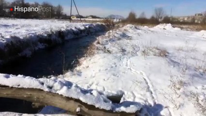 No logró cruzar un tronco nevado, pero su intento lo volvió una estrella
