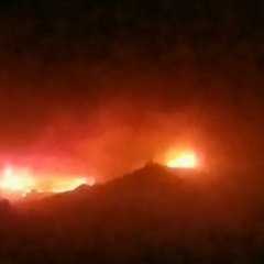 How the wildfires will affect Northern California’s immigrant population [Mic Archives]
