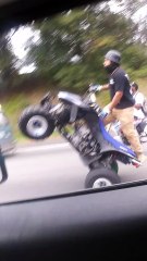 A Mob of Stunt Drivers