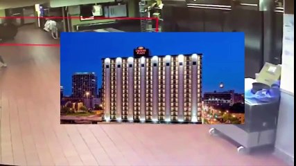 Mujer B0rracha quedo atrapada en un congelador, cuando la encontraron se dieron cuenta de la espeluznante historia!