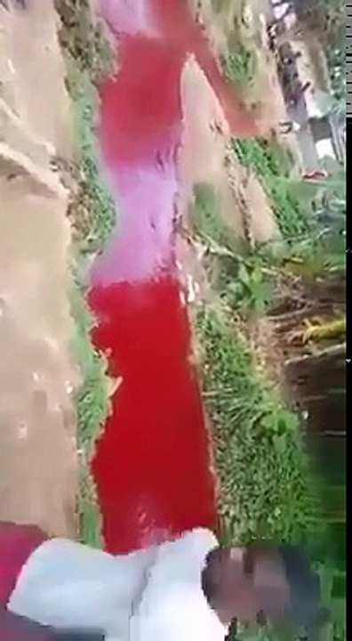 Rio Se Tiñe de Sangre en zongo Atokpome