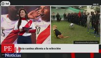 SELECCION PERUANA JUEGA HOY SU CLASIFICACIÓN A RUSIA 2018