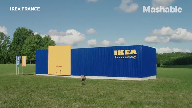 Ikea is launching a pet furniture collection and it's purrfect