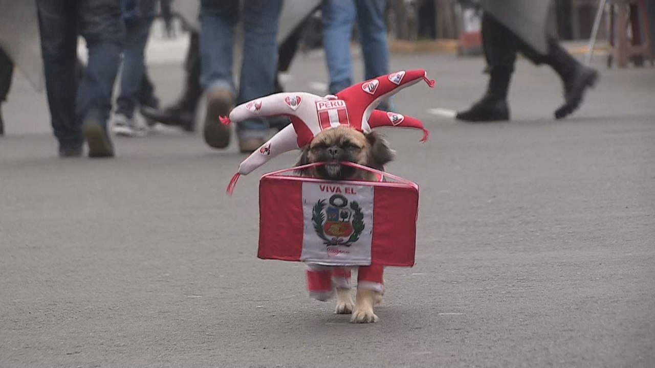 Hinchas peruanos y colombianos creen en sus selecciones para conseguir el boleto al mundial