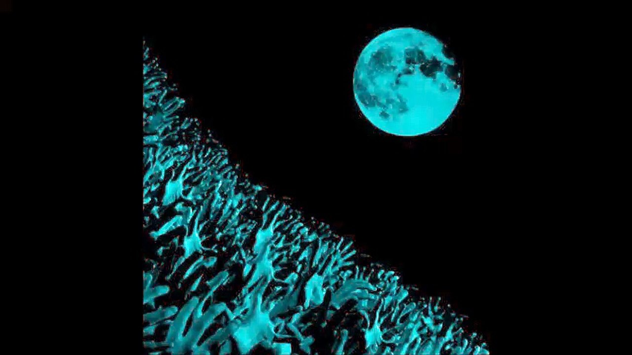 Muse - Ruled by Secrecy, Orleans Zenith, 03/15/2004