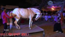 Rajasthani Song 2017 New Dj Marwadi Marriage function Indian Wedding Dance performance 2017