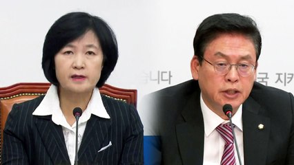 여야, 적폐 청산 연일 충돌..."물타기" vs "표적 사정" / YTN
