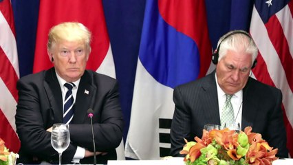 [취재N팩트] 트럼프-틸러슨, "멍청이" vs. "IQ 테스트 하자"...갈등도 전략? / YTN