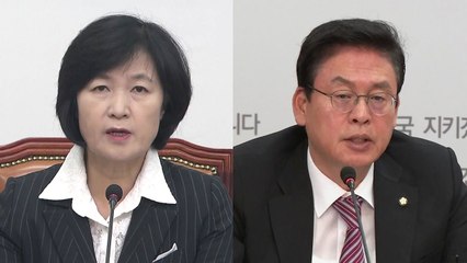 여야, 적폐 청산 연일 충돌..."물타기" vs "표적 사정" / YTN