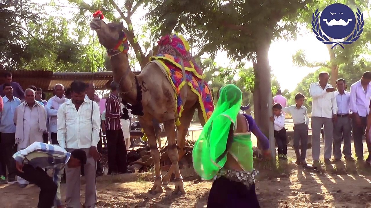 New Rajasthani Song 2017 | New marwadi Marriage dance | New dj Song 2017