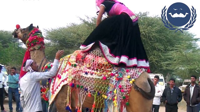 Rajasthani Video Marwadi Marriage dance song Indian Wedding Dance performance 2017