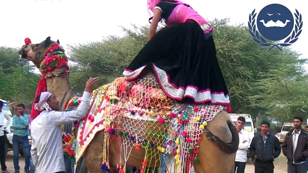 Rajasthani Video Marwadi Marriage dance song Indian Wedding  Dance performance 2017