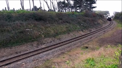 Steam Locomotive puffing along the Countryside