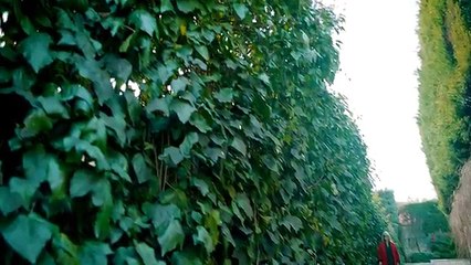 Safiye Soyman feat Serdar Ortaç - Bilsem ki