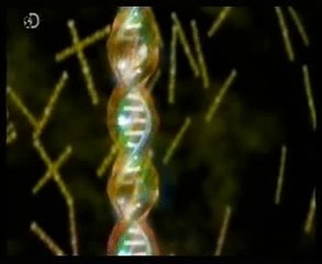 Hibridacion genica: Cabras-araña (Randy Lewis) (Biologia sintetica)