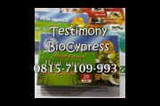 0813-2152-9993 | Obat Herbal Diabetes - Kencing Manis, Biocypress Binjai