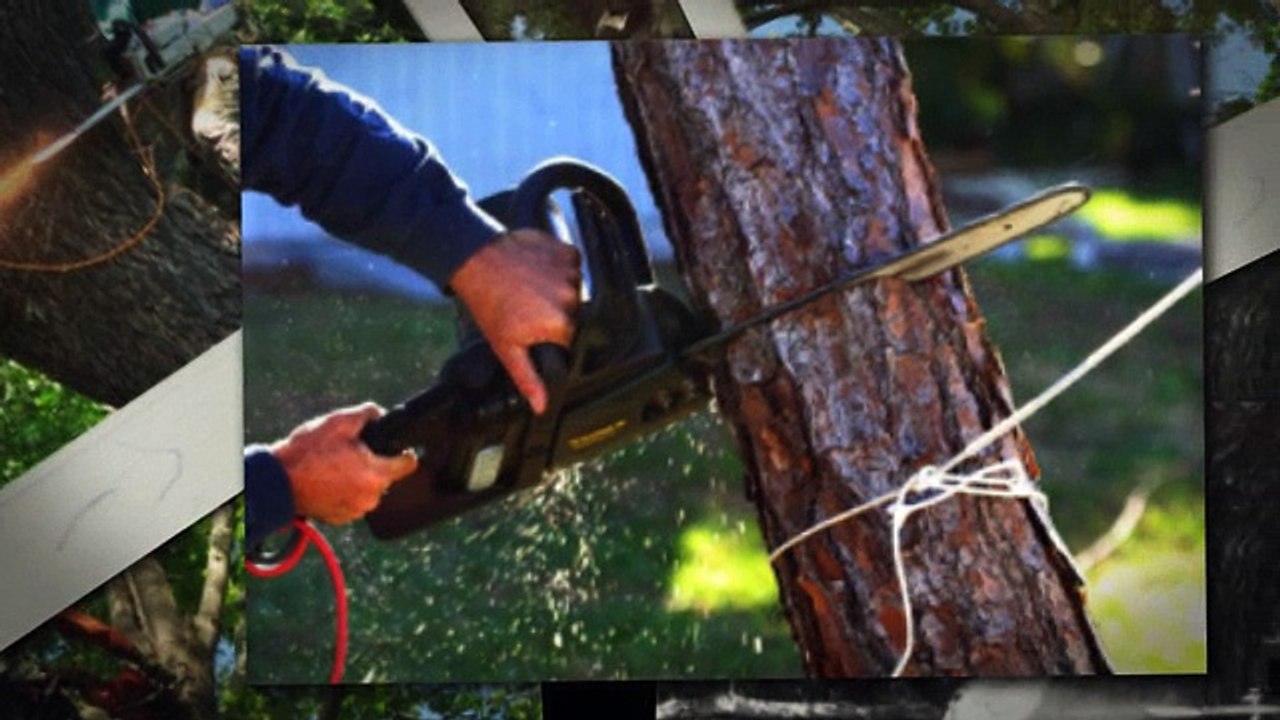 Tree Removal Anaheim CA has combined experience.24/7 emergency services