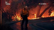 Wapres AS Kunjungi Lokasi Kebakaran