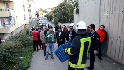 Tır Apartman Dairesine Girdi: 1 Ölü - Kocaeli