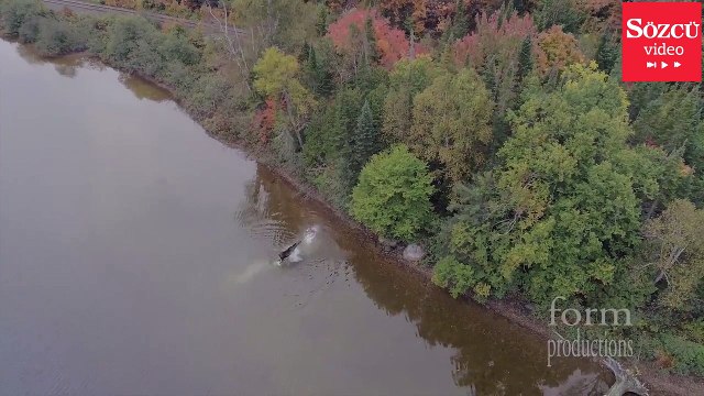 Drone ile çekilen inanılmaz görüntü