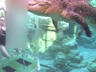 Elles nagent dans une piscine avec un crocodile monstrueux !