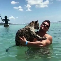 Il nage avec son jaguar... Incroyable