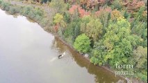 Drone Footage: Moose vs Wolf - Northern Ontario  (skip :52 sec)