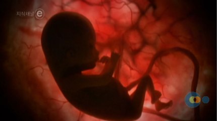 지식채널e - 완벽한 하루