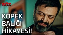 Söz | 16.Bölüm - Köpek Balığı Hikayesi!