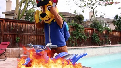 Paw Patrol Marshall FIRE RESCUE! w/ Chase & Minnie Mouse Cars Toys Video in Real Life