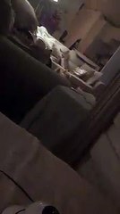 Flippant : Elle entend une voix qui sort de sa caméra de surveillance... elle découvre qu'elle est espionnée !