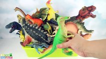 My Dinosaurs Toy Box! Surprise Collection Jurassic World Toys. Learn names Dinosaurs for Kid.