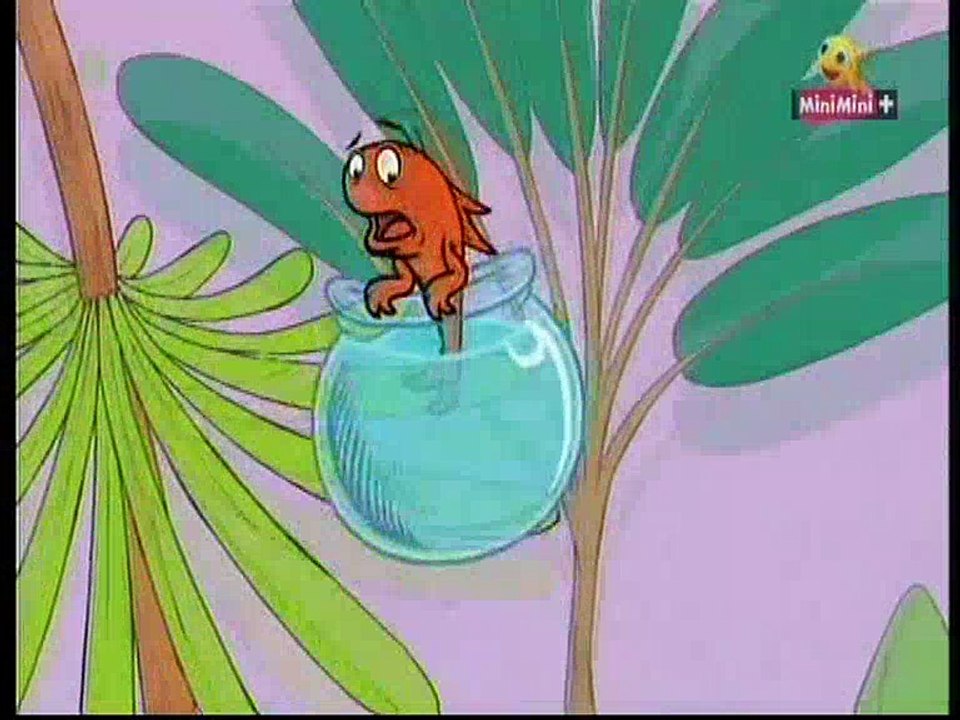 Kot Prot na wszystko odpowie w lot - Nie ma jak noc