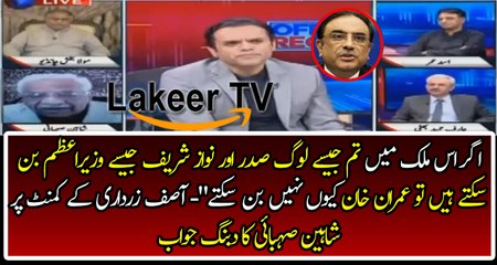 Dabang Response By Shaheen Shobai on Zardari's Statement Against Imran Khan