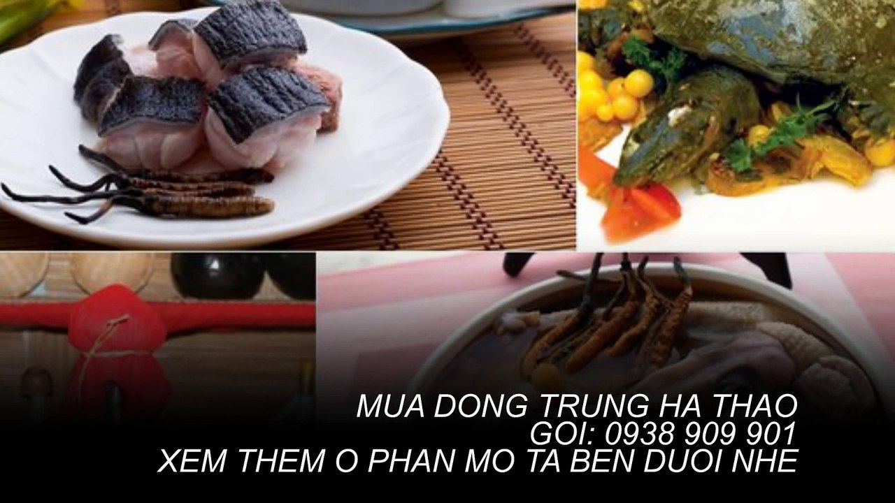 Bán đông trùng hạ thảo ở quận 3, quận 4