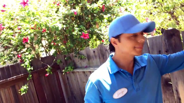 Gardeners in Downtown Santa Barbara,CA video progress