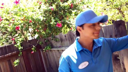 Gardeners in Downtown Santa Barbara,CA video progress