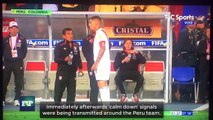 Falcao a-t-il arrangé la fin du match entre la Colombie et le Pérou ?