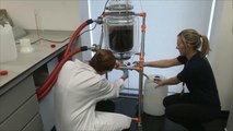 هذا الصباح-علماء بريطانيون ينتجون وقود الديزل من مسحوق القهوة