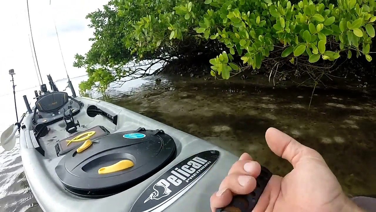Ultimate Inshore Fishing Kayak Rigging: Pelican Strike 120x Angler - Vidéo  Dailymotion